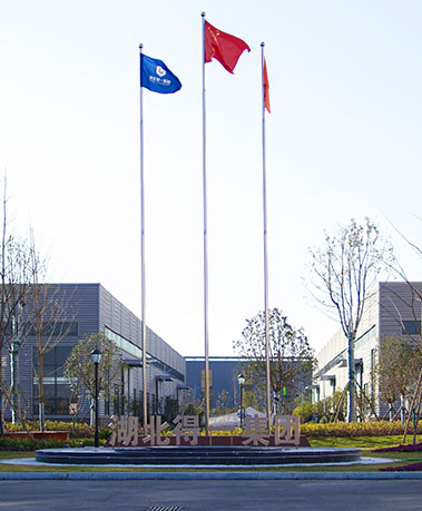 湖北熊猫体育集团实景